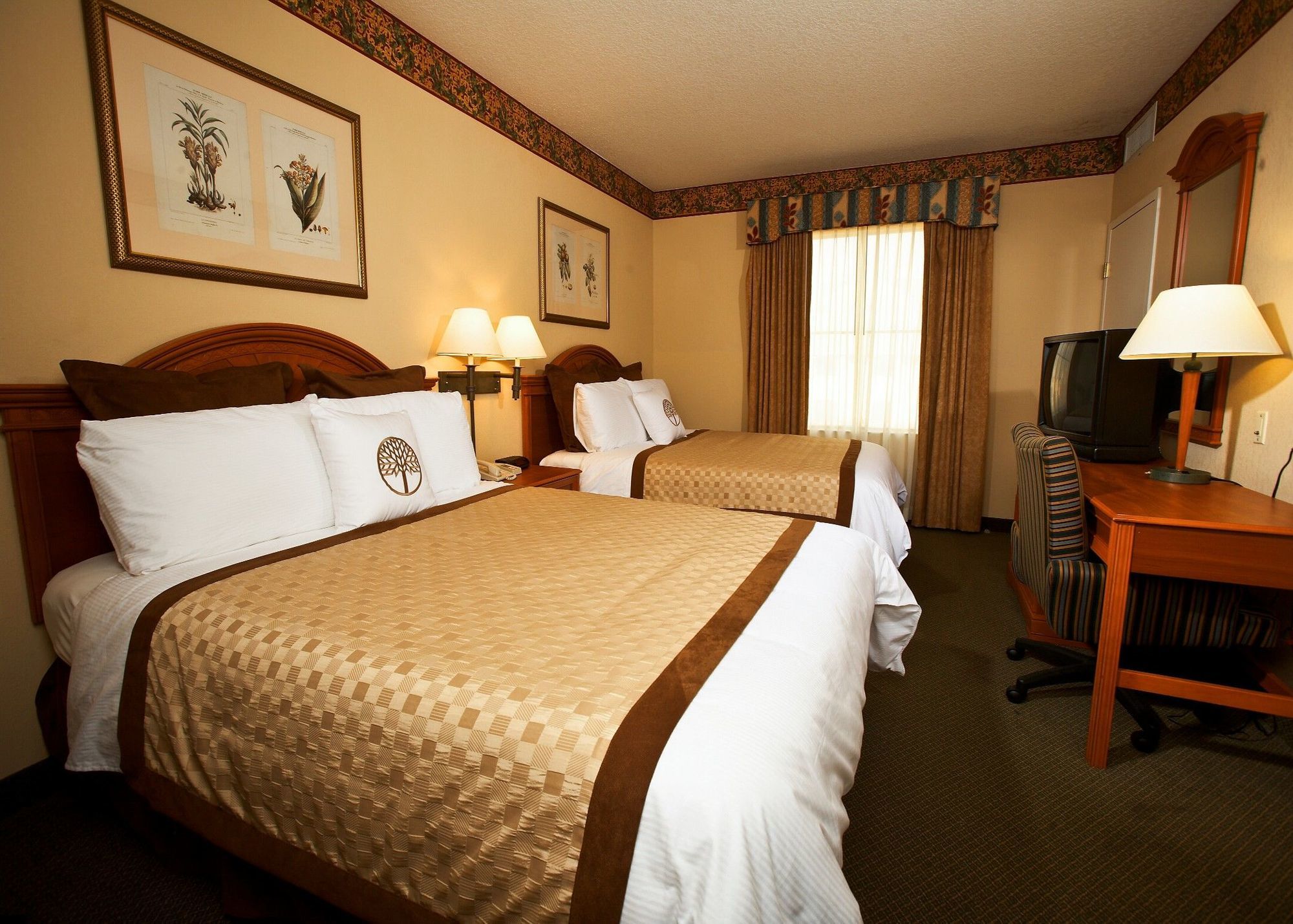 Staysky Suites I-Drive Orlando Near Universal Kültér fotó